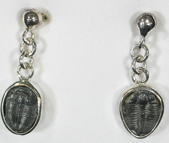 Sterling Silver Elrathia Trilobite Earrings #9128